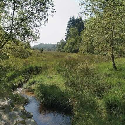 Réserve Naturelle de la Tourbière des Dauges - CEN Nouvelle-Aquitaine