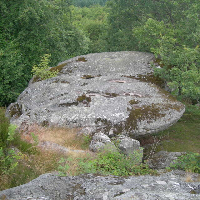 Roches Brunagères
