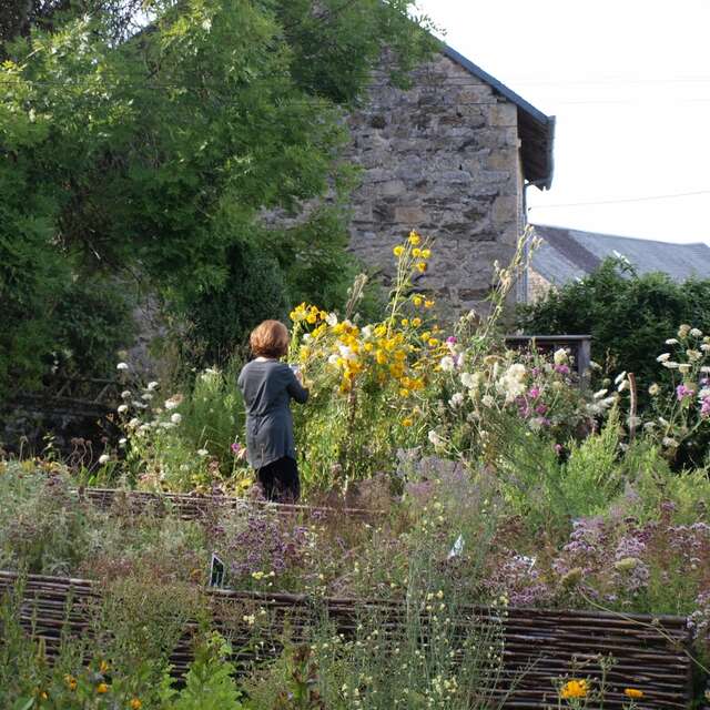 Cité des Insectes : le jardin