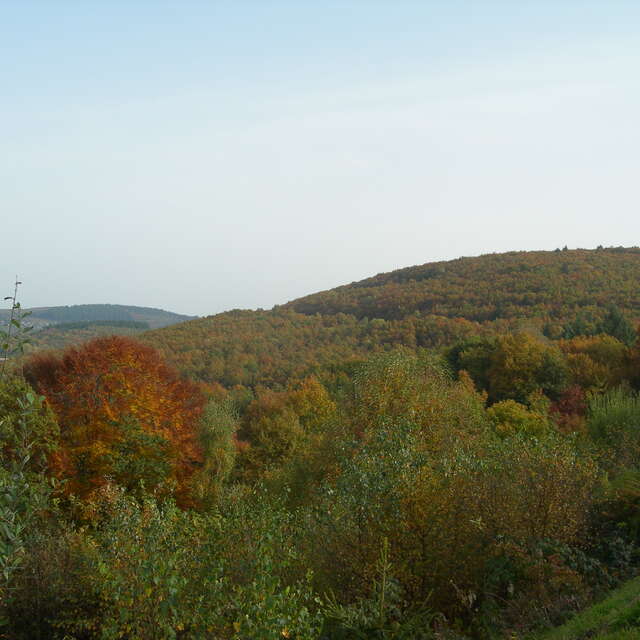 Bois de Crozat