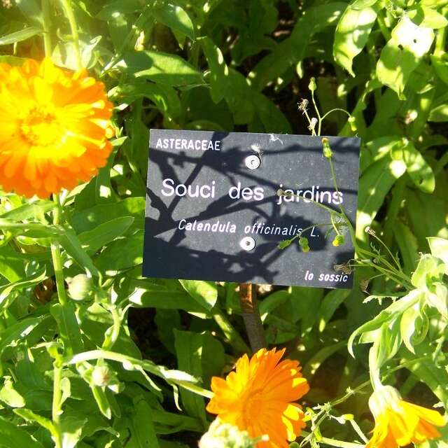 Jardin des Simples