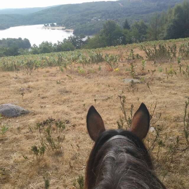 Vassivière à cheval