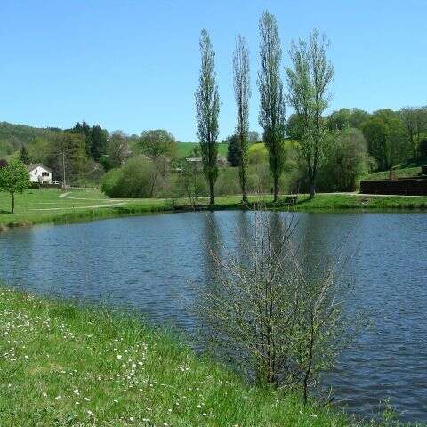 Etang de pêche de Fressengeas
