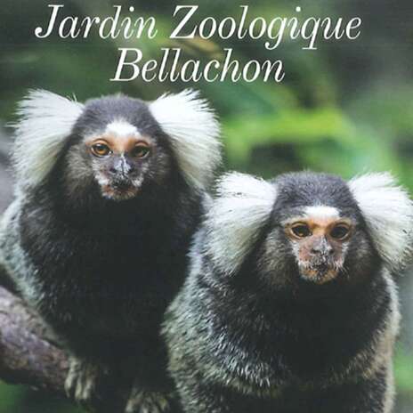 Jardin Zoologique Bellachon