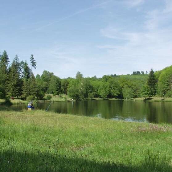 Pêche à l'étang de Masselièvre