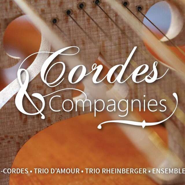 Les Archets creusois -14ème Festival Cordes & Cies