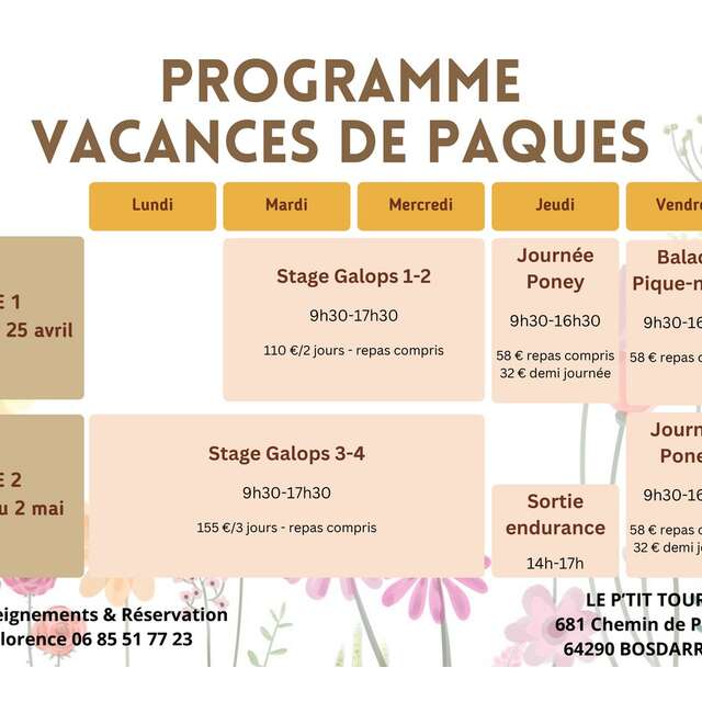 Stage équestre