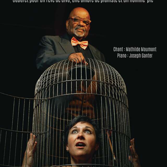 Pièces de Théâtre : Le roman ménage de Dahlia