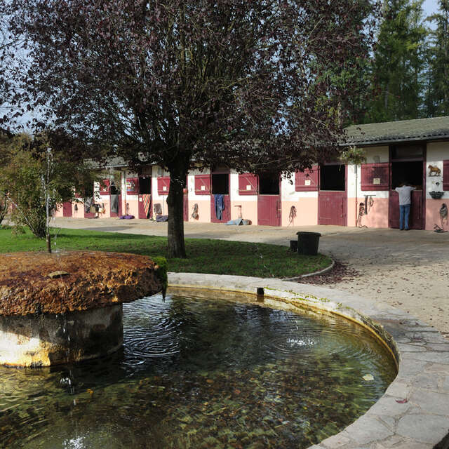 Centre équestre - Domaine du Muret
