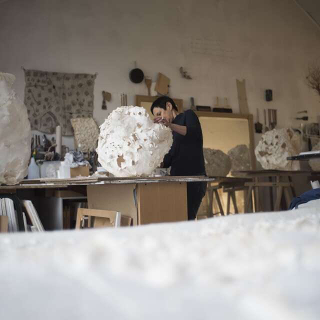 Exposition "Catherine Bernis, monde(s) de papier et de porcelaine" - Limoges