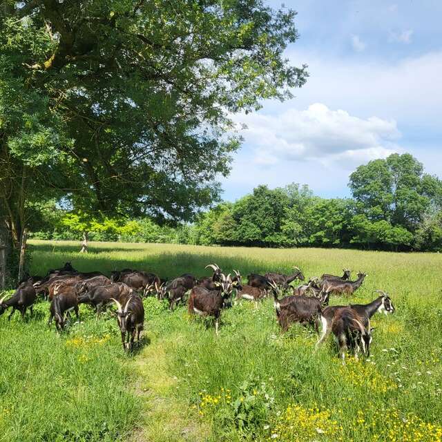 La Ferme à Roulettes