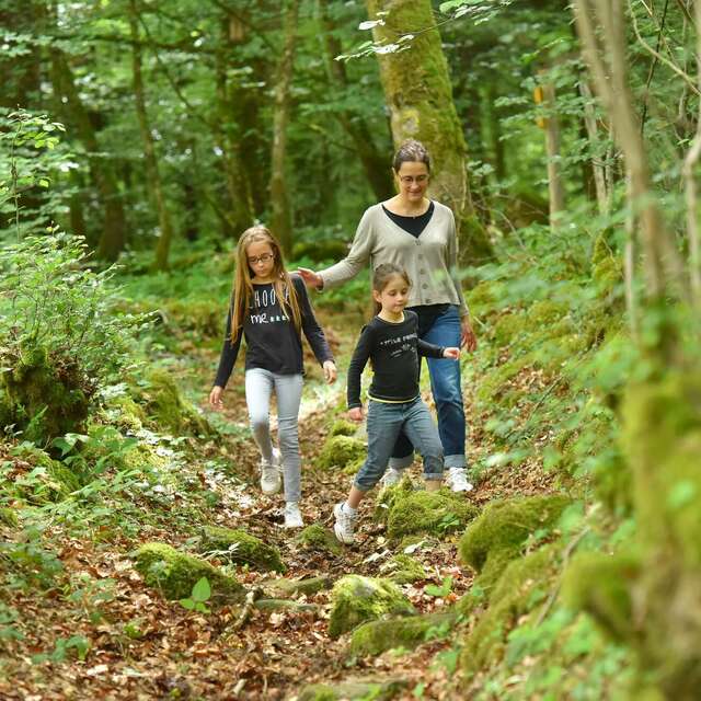Forêt d'Épagne
