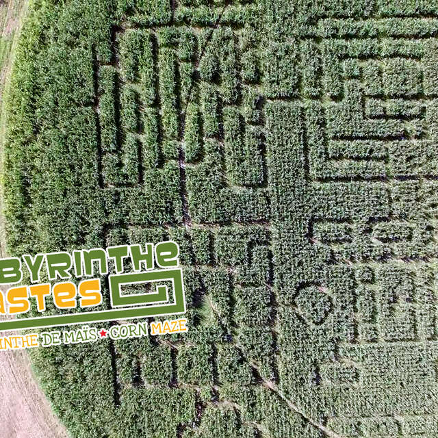 Labyrinthe de Maïs