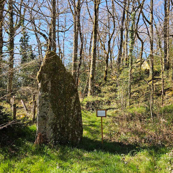 Menhir du Theil