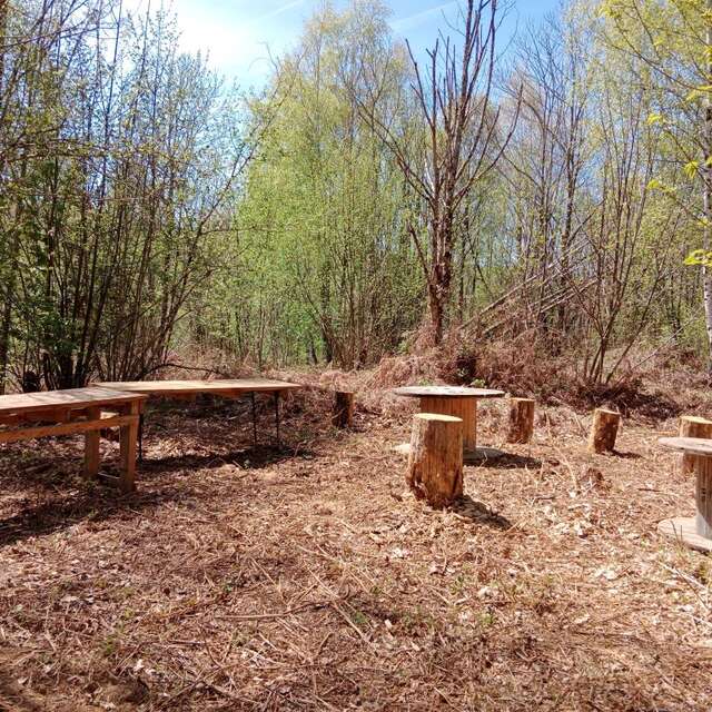 Ateliers de sculpture sur bois