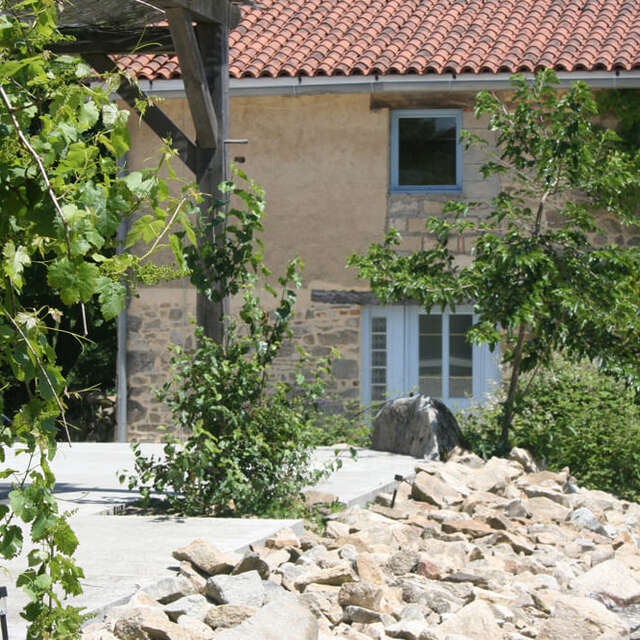 Le Pavot
