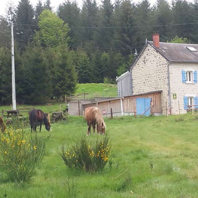 LE PUY DES BRUGES