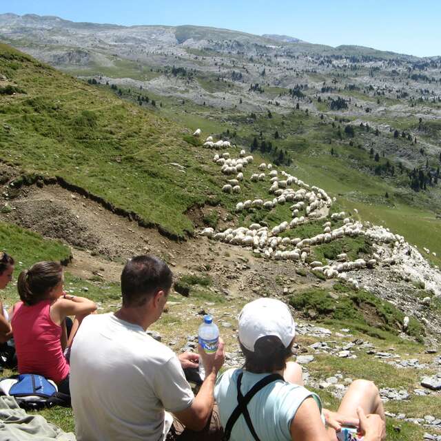 Monsieur François-Olivier CHABOT - Accompagnateur en montagne