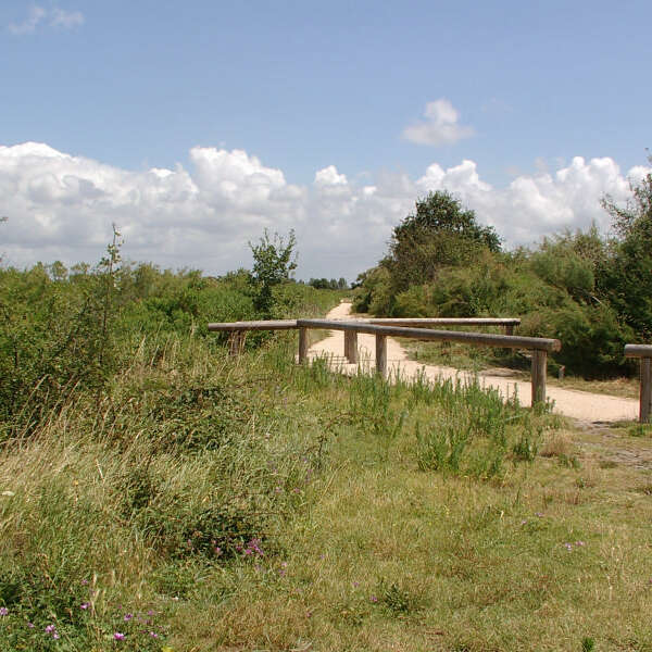 Le sentier du littoral de Gujan-Mestras