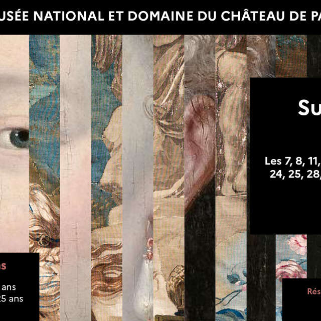Surprise au château