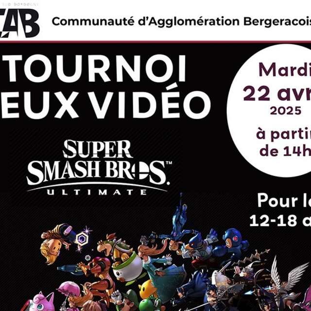 Tournoi jeux vidéo