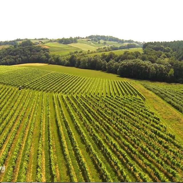Domaine Bory
