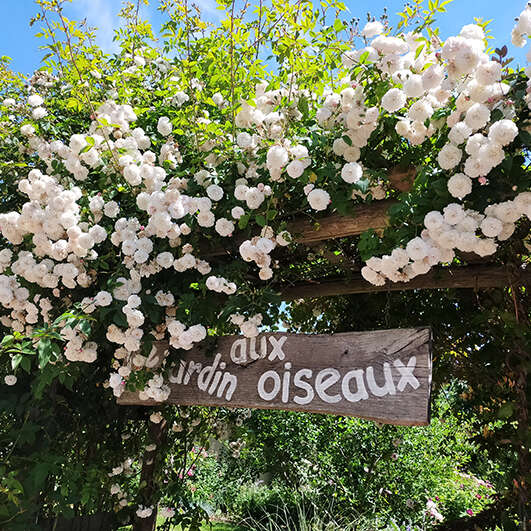 Rendez-vous aux jardins 2025 - Le Jardin aux Oiseaux - Couzeix