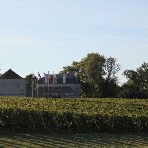 Château Montdoyen