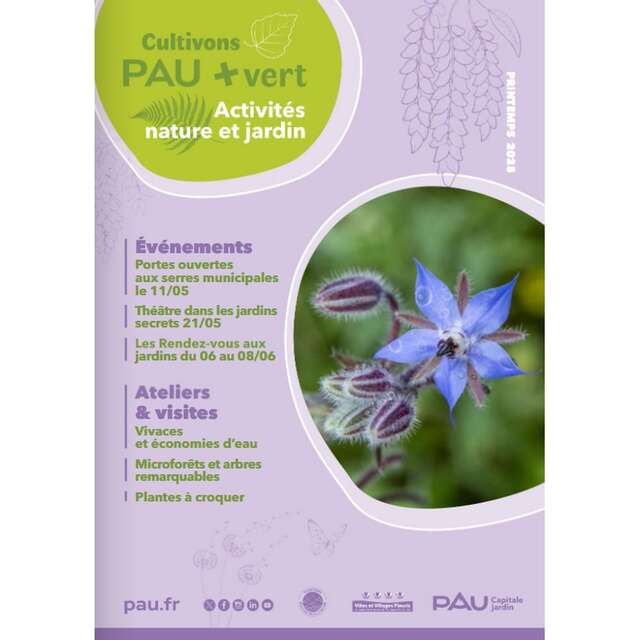 Sortie nature- Incroyables pollinisateurs