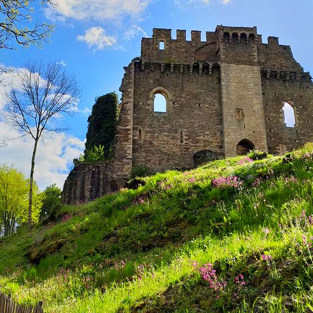 Château de Châlucet