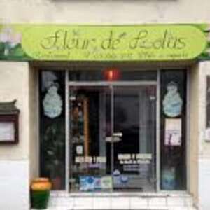 Fleur de Lotus
