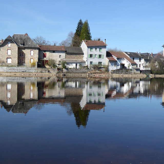 L'hirondelle du lac