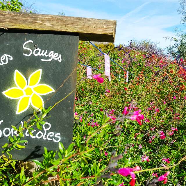 Jardin des Sens
