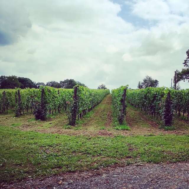 Clos Larrouyat