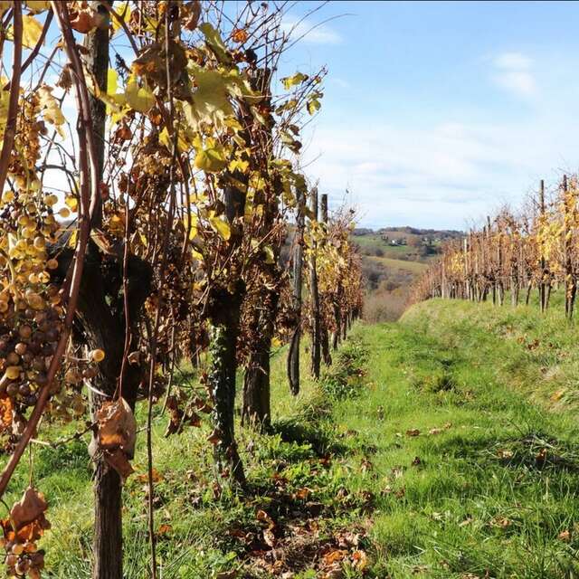 Clos Labrée