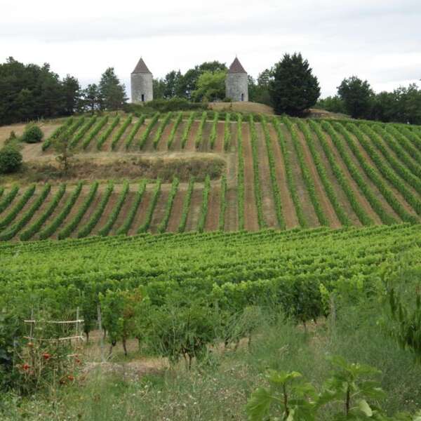 Moulins de Boisse