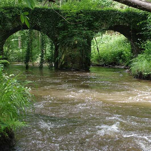 Moulin du Pont