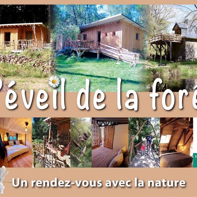 L'éveil de la Forêt - le gîte du Moulin