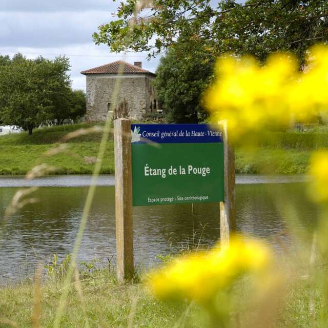 Pêche à l'étang de la Pouge