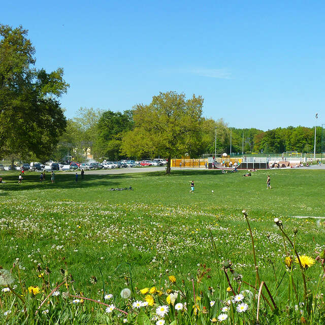 Plaine des Sports