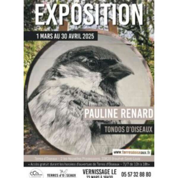 Exposition « Tondos d’oiseaux » par Pauline RENARD à Terres d’oiseaux
