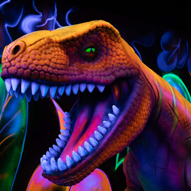 GOOLFY MINI GOLF INDOOR