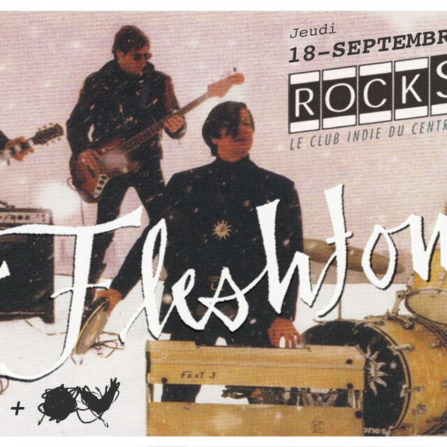CONCERT THE FLESHTONES