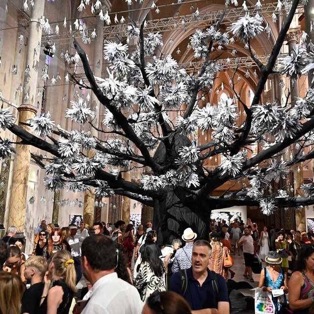 EXPOSITION  "ADVENTICE" DE JR