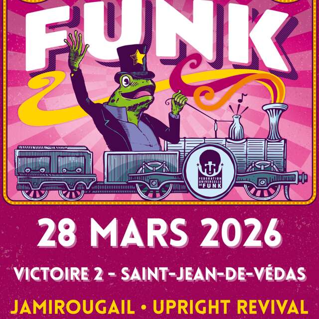 FESTIVAL WATT THE FUNK