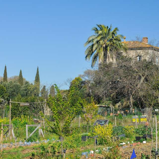 OASIS CITADINE