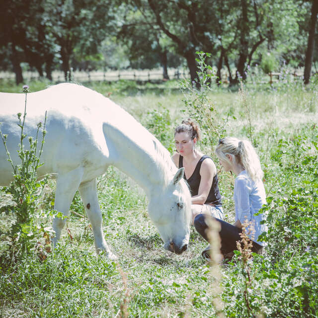 L’EQUICOACHING BY BIAR