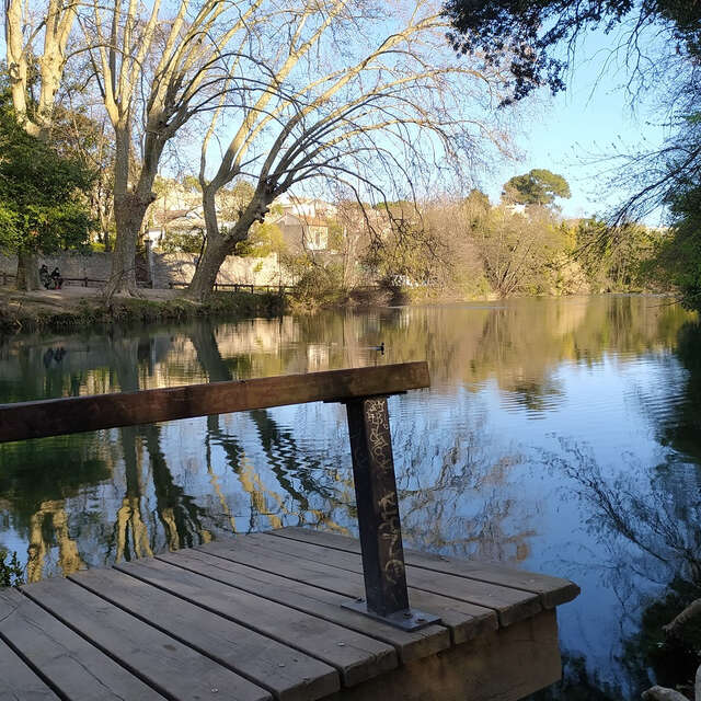 PARK OF THE MÉRIC ESTATE