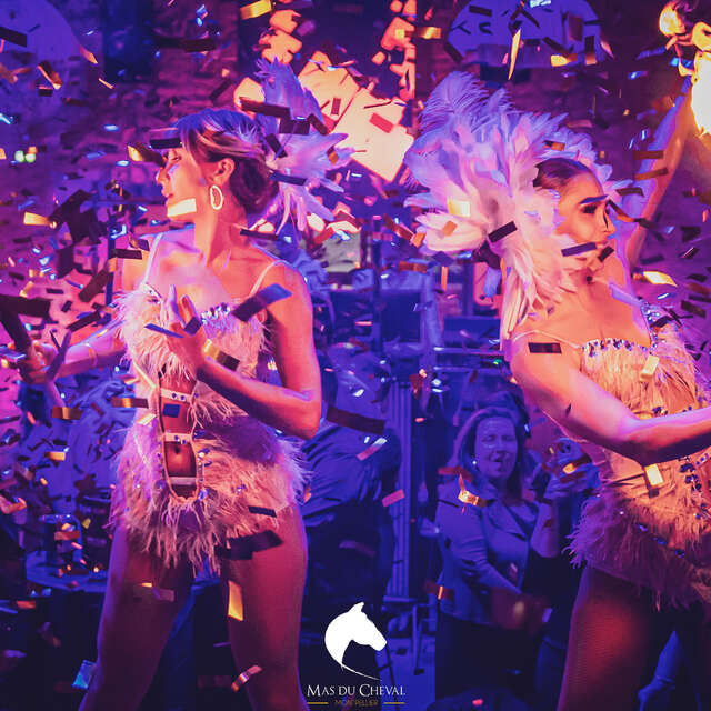 RÉVEILLON - SOIRÉE NOUVEL AN DU MAS DU CHEVAL