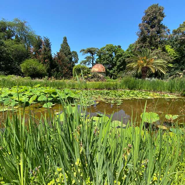 LE JARDIN DES PLANTES